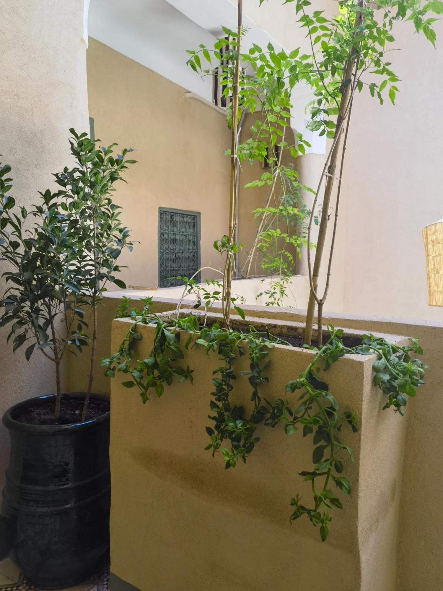 Medina Oasis Hostel マラケシュ エクステリア 写真
