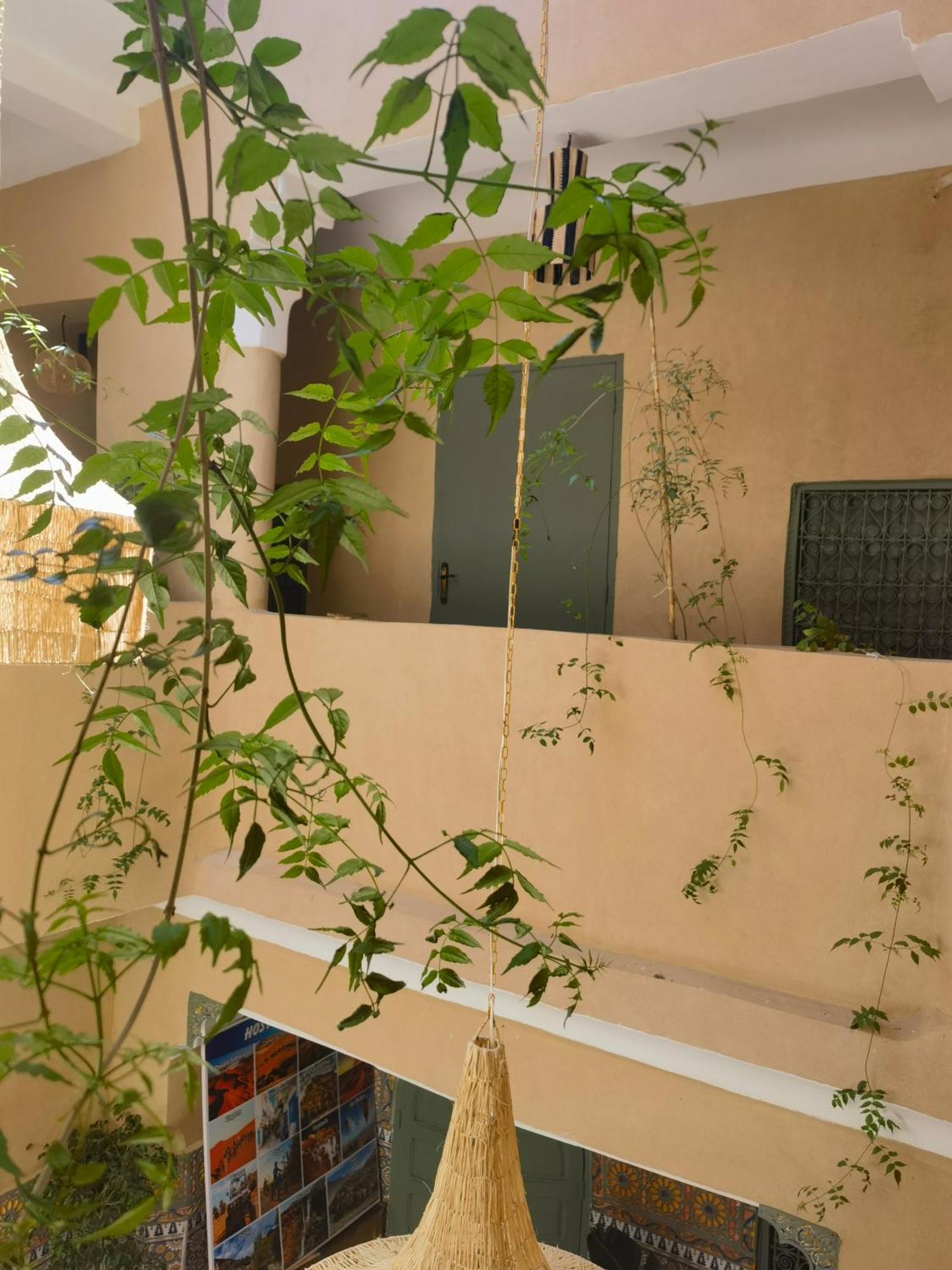 Medina Oasis Hostel マラケシュ エクステリア 写真
