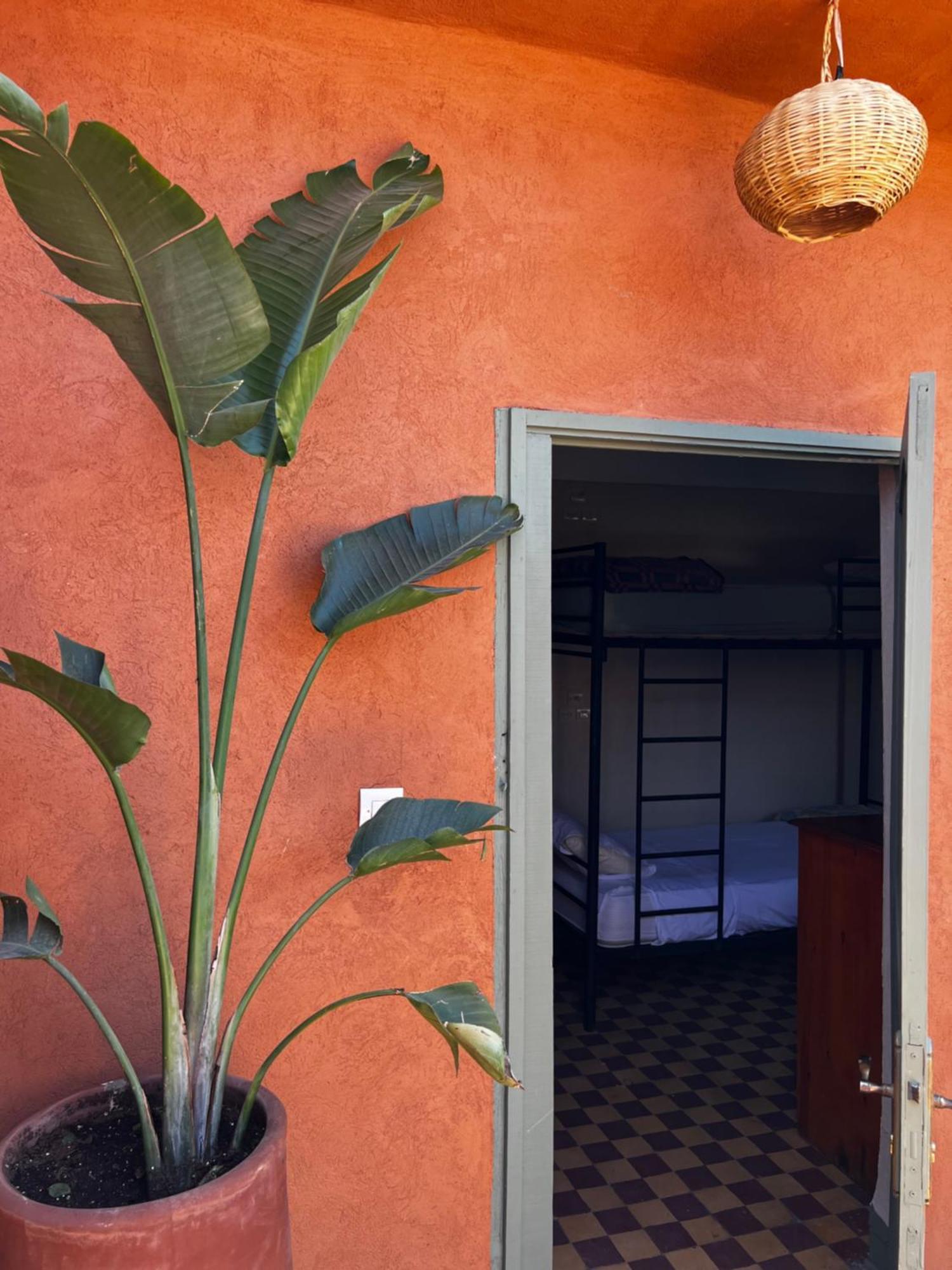 Medina Oasis Hostel マラケシュ エクステリア 写真